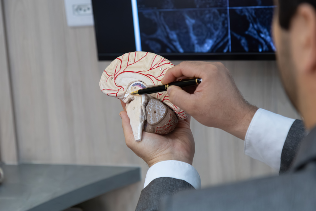 Neurocirurgião Meningioma